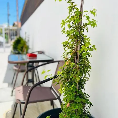 - - Sleeps 4 - Garden - Parking Appartement *