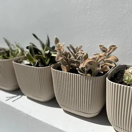 - - Sleeps 4 - Garden - Parking Appartement Larnaca