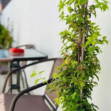 - - Sleeps 4 - Garden - Parking Апартаменты Ларнака