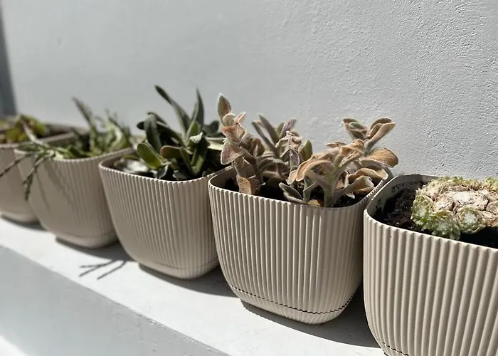 - - Sleeps 4 - Garden - Parking Апартаменты Ларнака